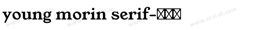 young morin serif字体转换